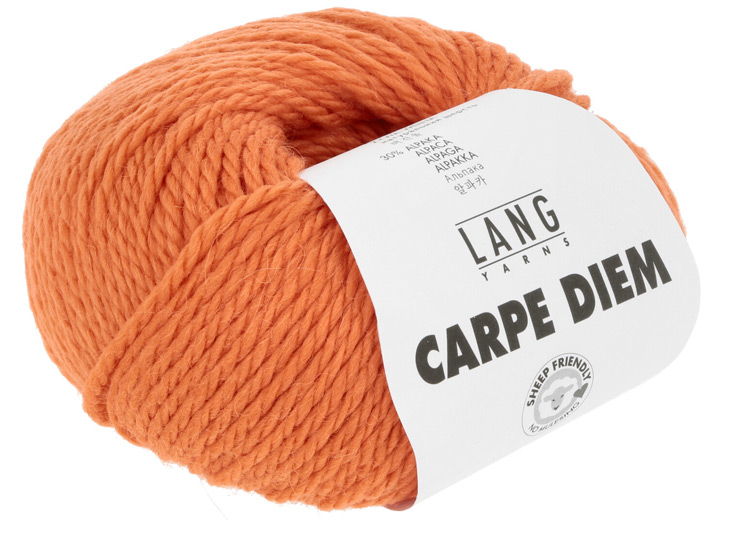 Farbkarte Lang Yarns Carpe Diem
