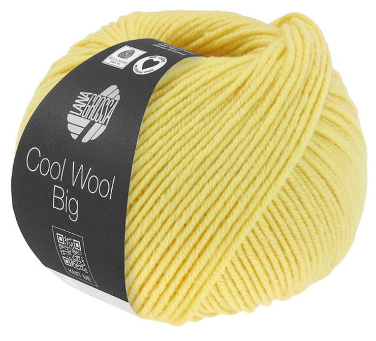 Farbkarte Lana Grossa Cool Wool Big