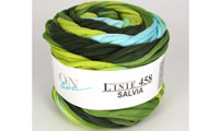 ONline Linie 458 Salvia